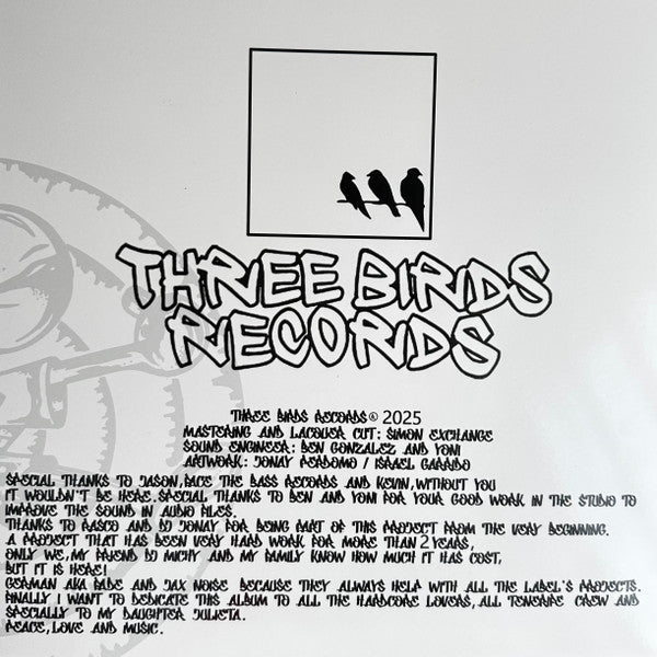 Three Birds Records THRB010 back sleeve