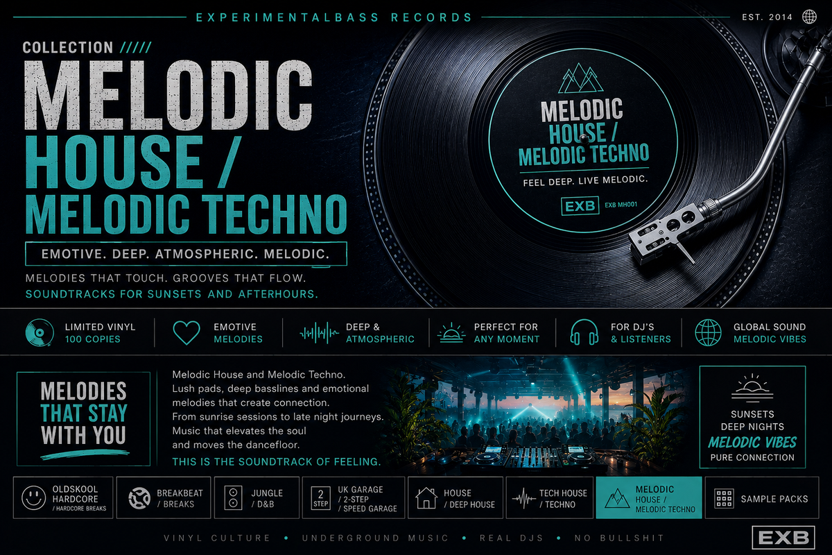 Melodic House / Melodic Techno