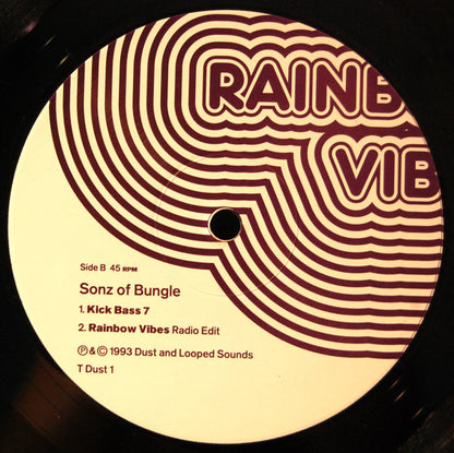 Sonz Of Bungle – Rainbow Vibes, Side B label, Dust And Looped Sounds T DUST 1