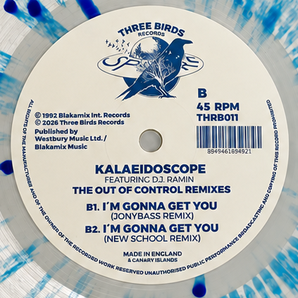The Out Of Control Remixes back sleeve tribute artwork